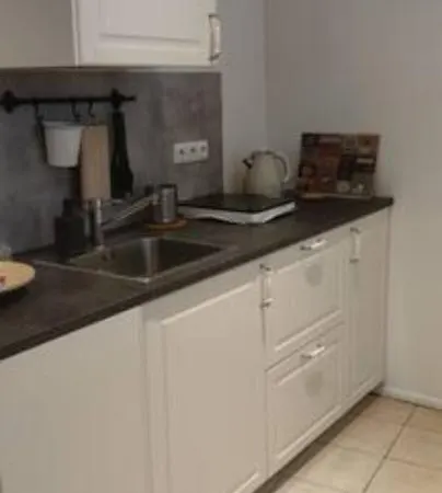 Vintage Style Flat Just A Few Steps Away From Vilniaus Street *